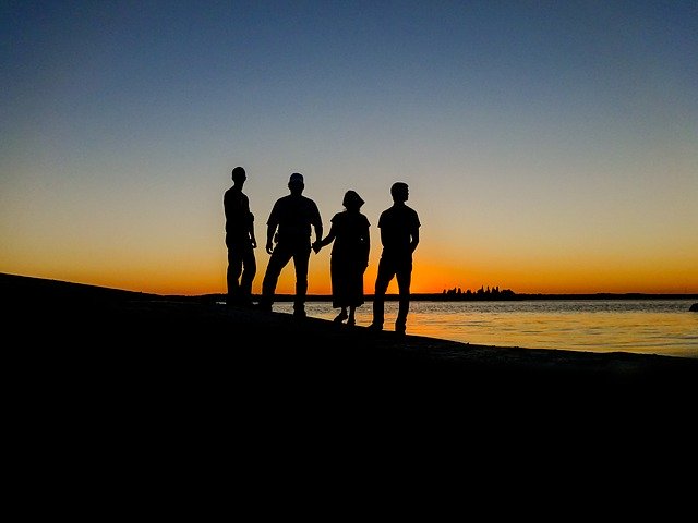 Family System