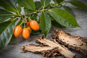Ibogaine